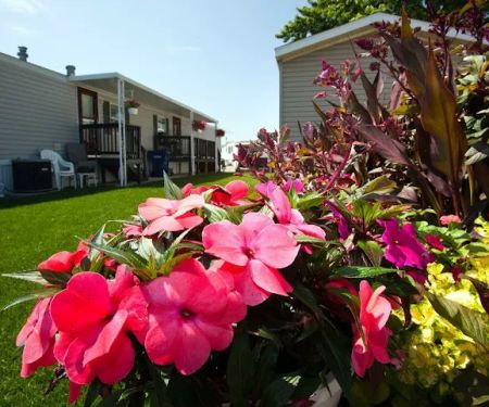 Chief Mobile Home Park