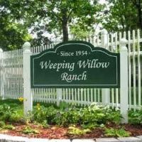 Weeping Willow Ranch ico