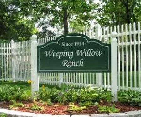Weeping Willow Ranch