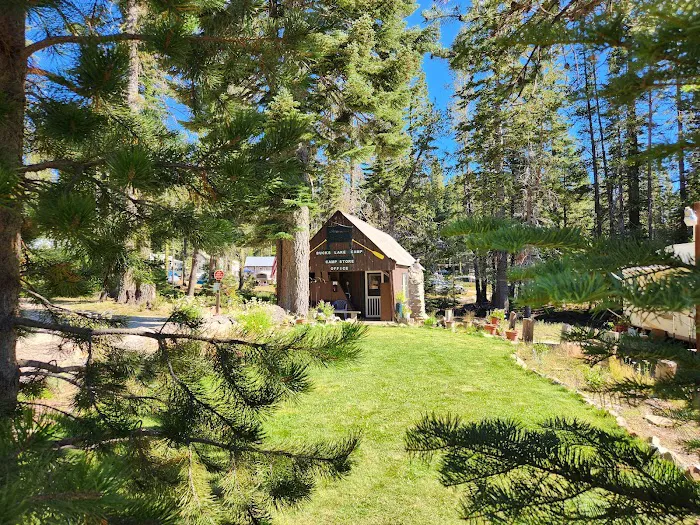 Bucks Lake Camp & RV Picture 10