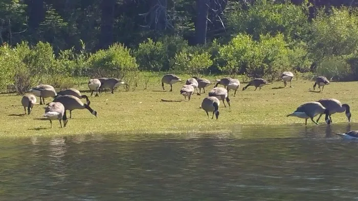 Haskins Valley Family Campground Picture 2