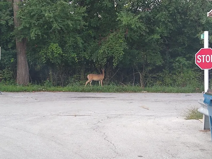 Valley Oaks Mobile Home Park Picture 7