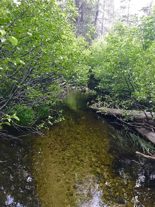 Whitehorse campground Picture 9