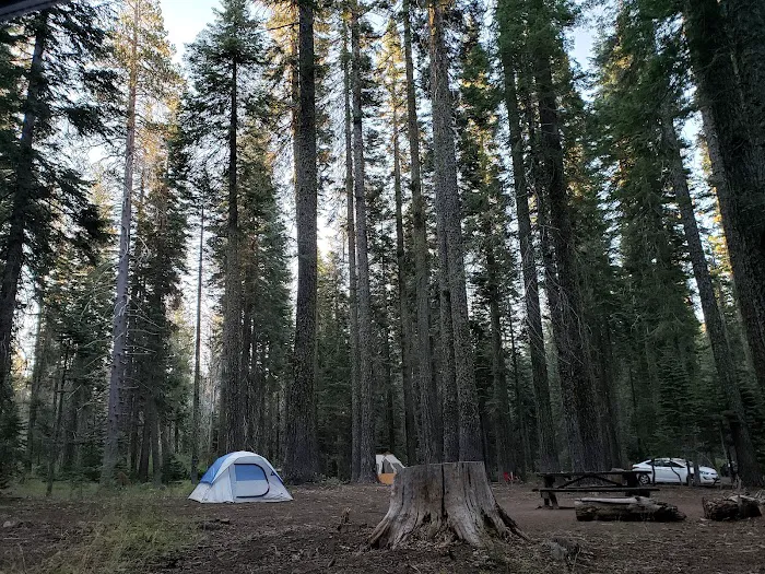 Whitehorse campground Picture 5