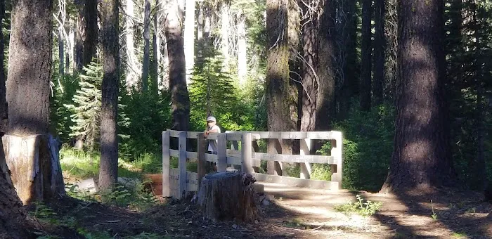 Whitehorse campground Picture 7