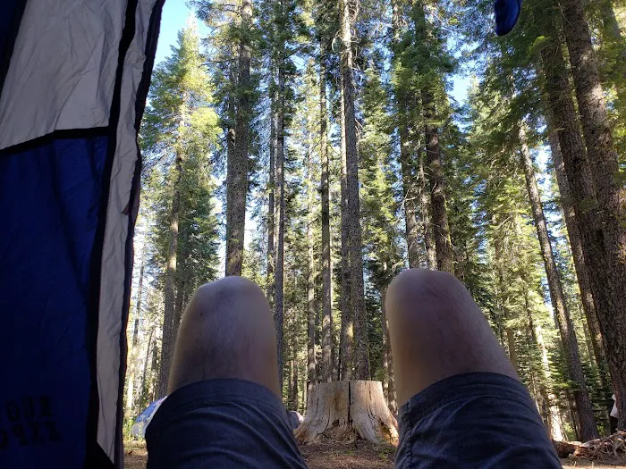 Whitehorse campground Picture 1