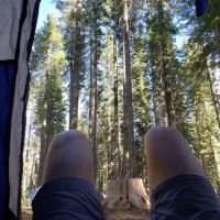 Whitehorse campground ico