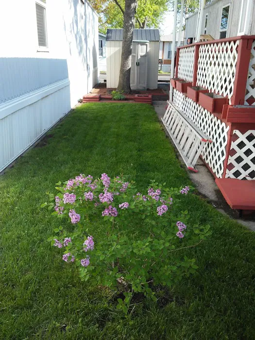 Country Club Woods Manufactured Home Community Picture 7