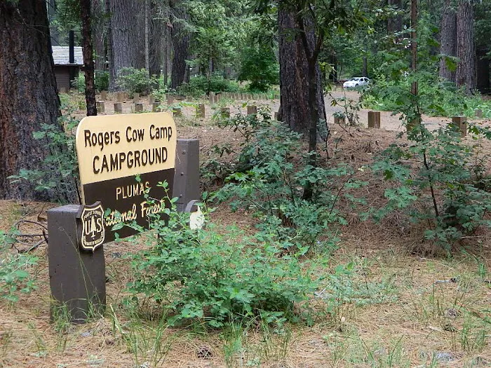 Rogers Cow Camp Picture 2