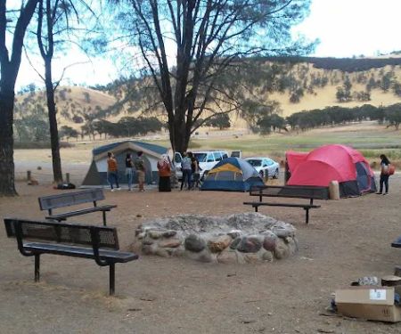 Pines Group Site - Stony Gorge Reservoir