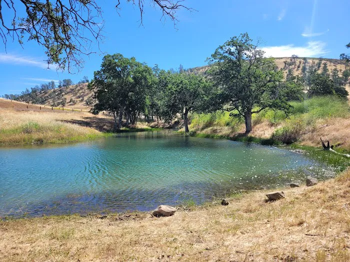 Stony Gorge Campground Picture 4