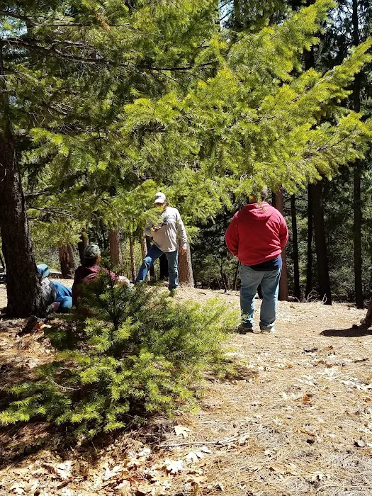 Whitlock Campground Picture 8