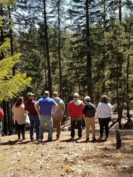 Whitlock Campground Picture 6