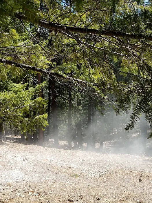 Whitlock Campground Picture 5