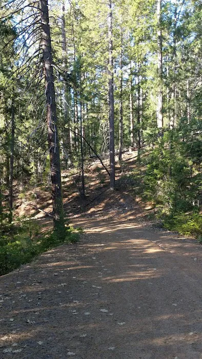 Whitlock Campground Picture 4