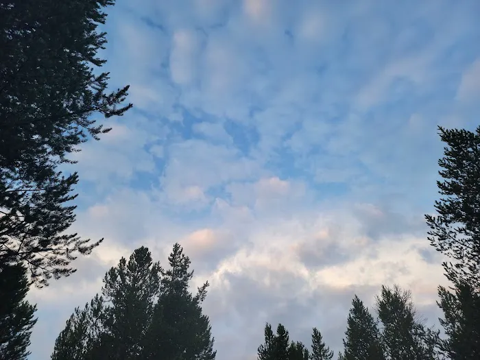 Buffalo Campground Picture 8