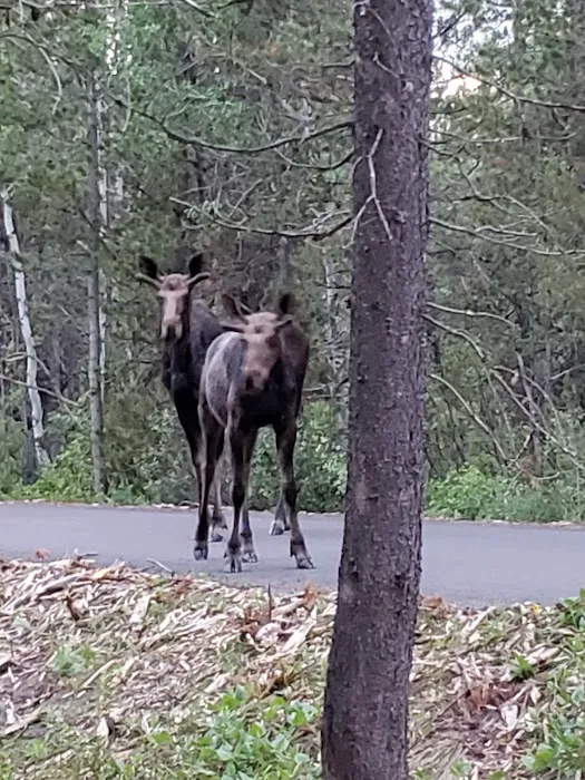 Buffalo Campground Picture 3