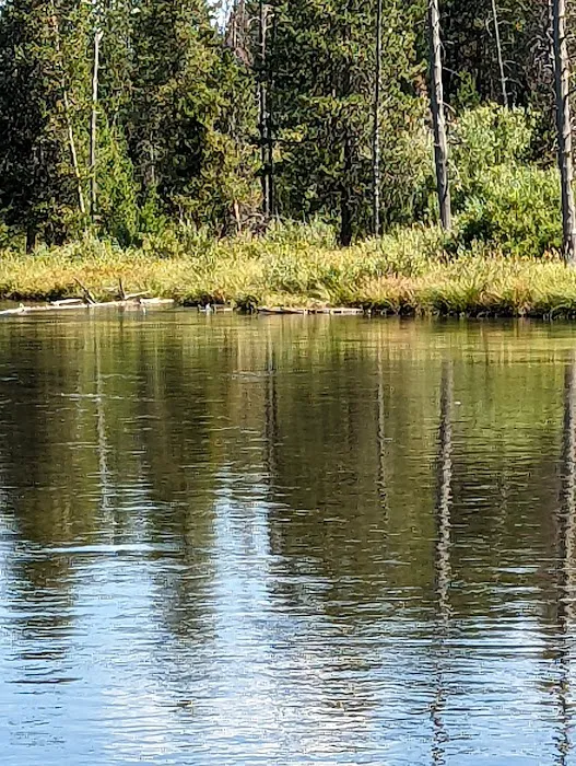 Buffalo Campground Picture 5