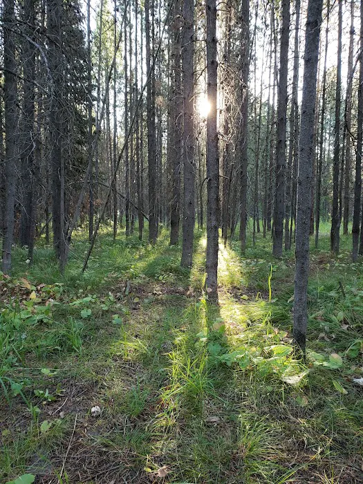 Buffalo Campground Picture 10