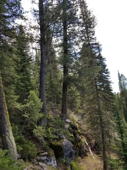 Box Canyon Campground Picture 5