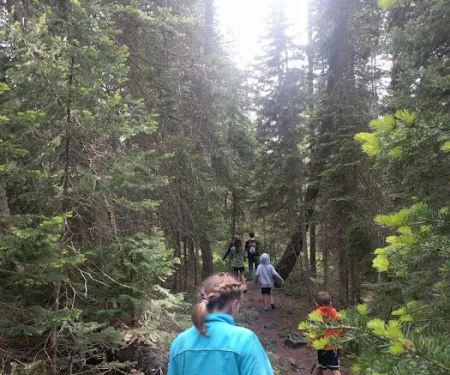 Box Canyon Campground