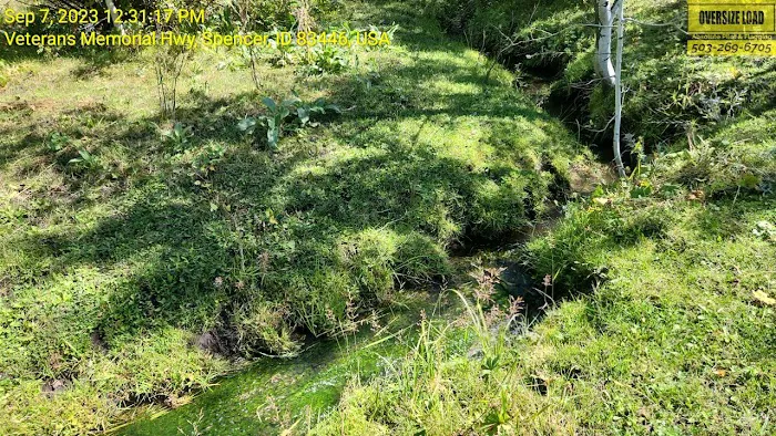 Stoddard Creek Campground Picture 4