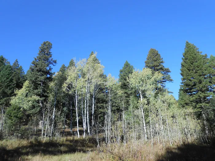 Stoddard Creek Campground Picture 3