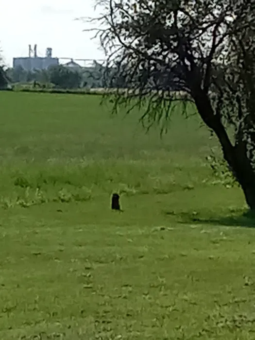 BARBERRY ACRES Picture 4