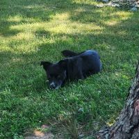 Reno’s RV Park ico