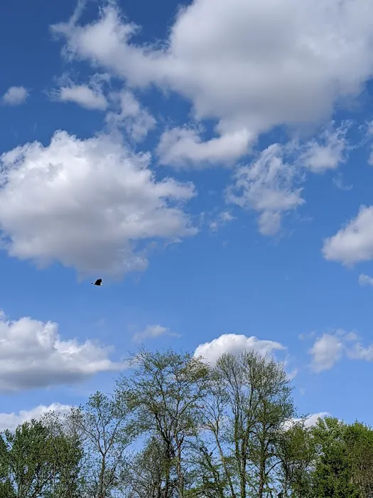 Reno’s RV Park Picture 2