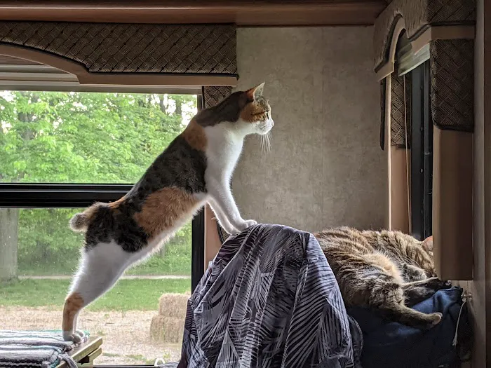 Reno’s RV Park Picture 4