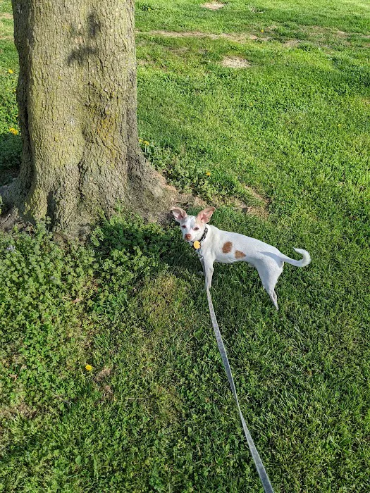 Reno’s RV Park Picture 7