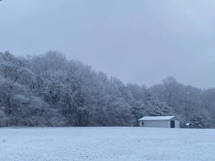 Cozy Corner Campsite (taking reservations) Picture 2