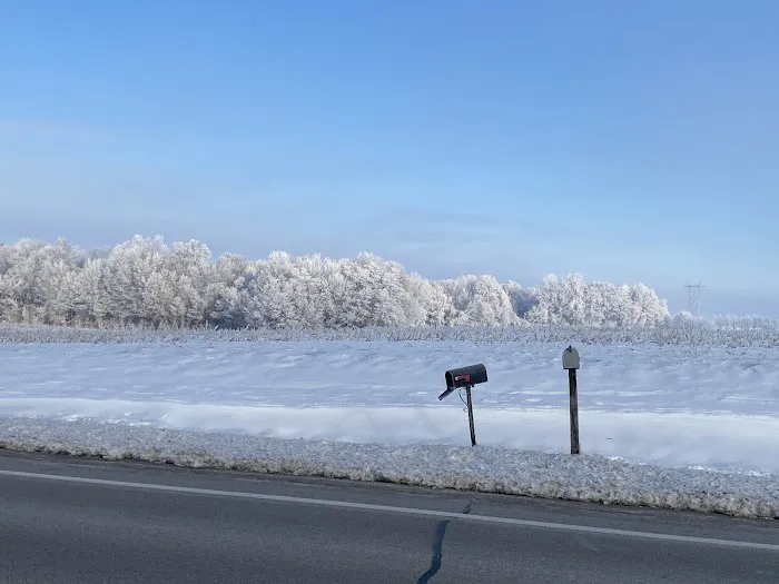 Cozy Corner Campsite (taking reservations) Picture 5