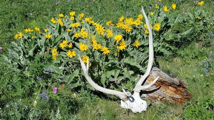 Hellroaring Creek 2h3 Picture 4