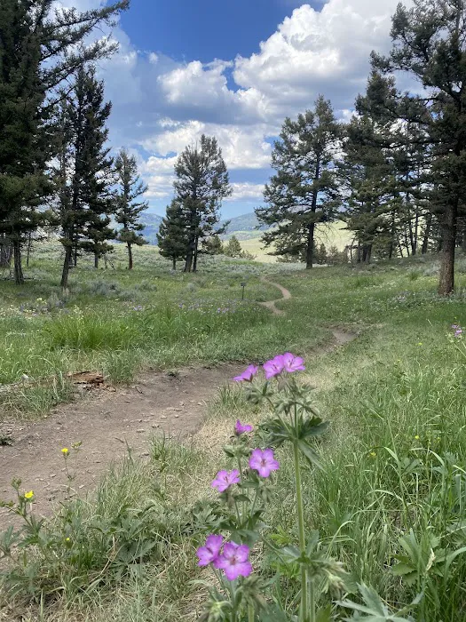 Hellroaring Creek 2h3 Picture 3