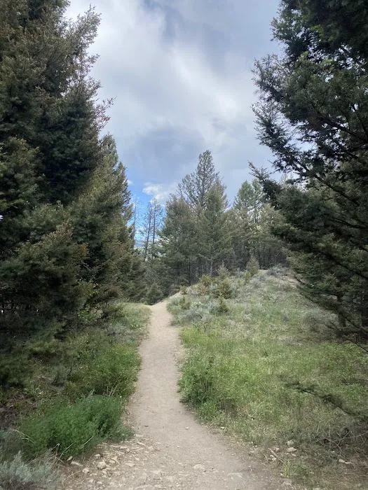 Hellroaring Creek 2h3 Picture 7