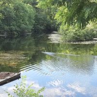 Tameling RV Park and Campground ico