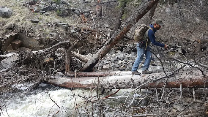 Hellroaring Creek Picture 1