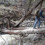 Hellroaring Creek