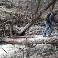 Hellroaring Creek ico