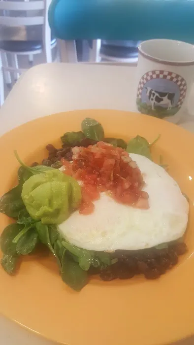 Lake Shannon Picture 8