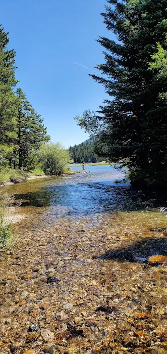 Emerald Lake Campground Picture 10