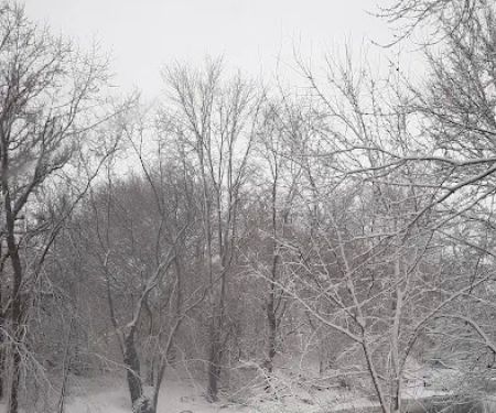 Bookwalter Woods Manufactured Home Community