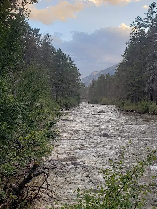 Pine Grove Campground Picture 5