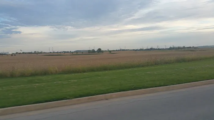 Shady Oaks Picture 4
