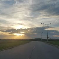 Shady Oaks ico