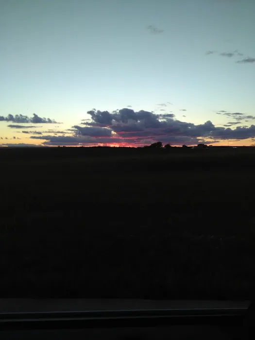 Shady Oaks Picture 10