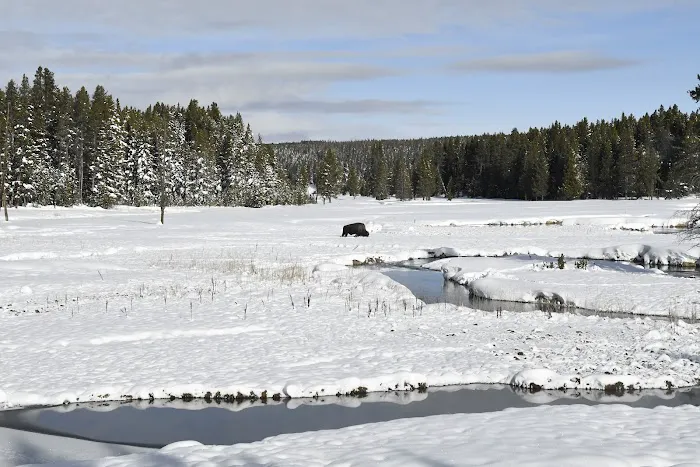 Norris Meadows 4F1 Picture 1