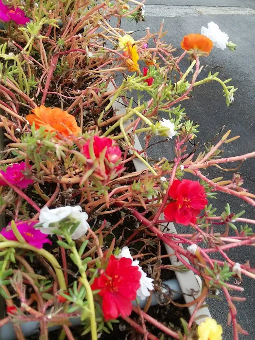 Imperial Mobile Home Community Picture 1